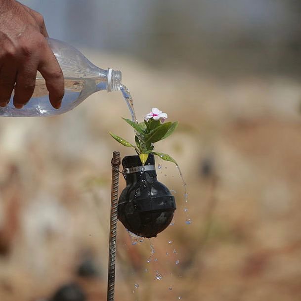 Iman4ii's tweet photo. A Palestinian woman waters plants growing in tear gas canisters in the village of Bilin, near the West Bank city of Ramallah. https://t.co/ZAe0RXmzAy