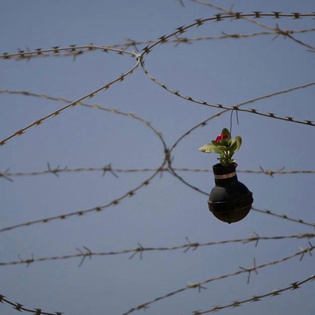 Iman4ii's tweet photo. A Palestinian woman waters plants growing in tear gas canisters in the village of Bilin, near the West Bank city of Ramallah. https://t.co/ZAe0RXmzAy