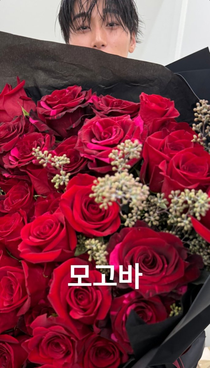 _xun1o's tweet photo. 모고바 산이 댕귀엽다
이제 장미까지 먹어보래 ^˖ᓀ.ᓂ˖ྀི 🌹 https://t.co/wX3e40s8yy