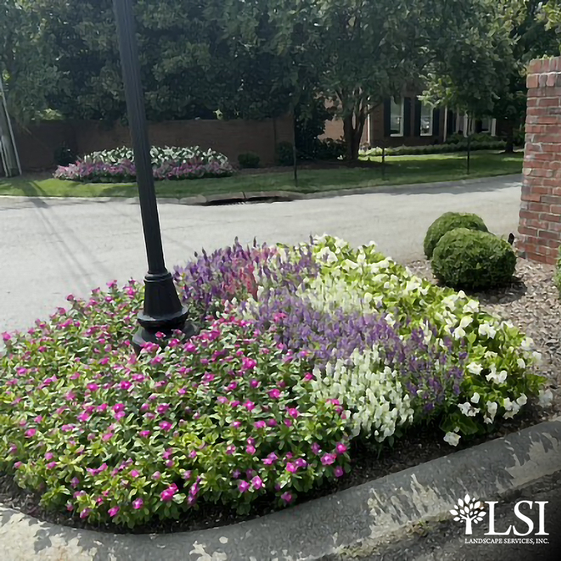 LSIpros's tweet photo. LSI specializes in custom premium flower displays to promote our clients image while protecting their investment.
#LSI #Flowers #FlowerDisplay #CommercialLandscaping #Landscaping https://t.co/EDdIdwRKoO