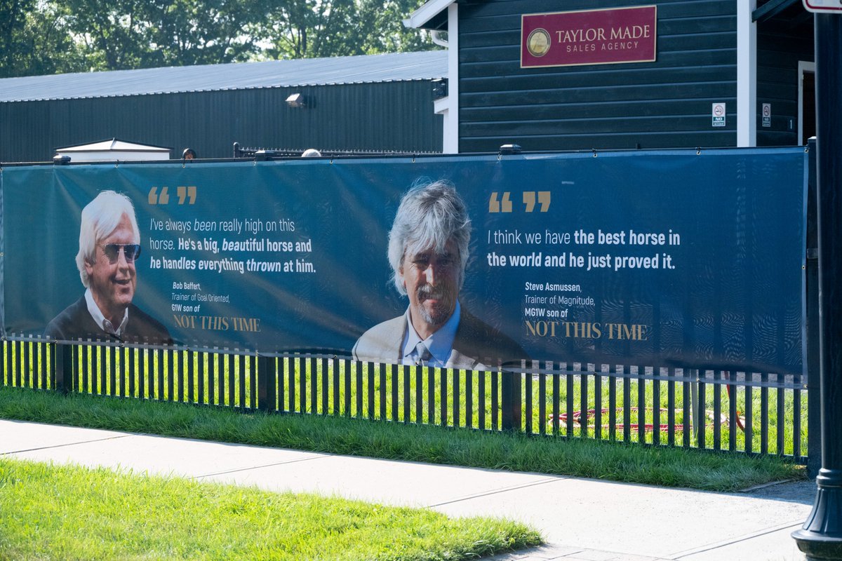 TMStallions's tweet photo. Sale scenes from Saratoga 🏇

Leading sire Not This Time is well represented at the @FasigTiptonCo Saratoga Sale with 10 yearlings, including six selling with the @TaylorMadeSales consignment.

Keep an eye out for the Not This Time yearlings heading through the ring today & tomorrow! ⏰👀