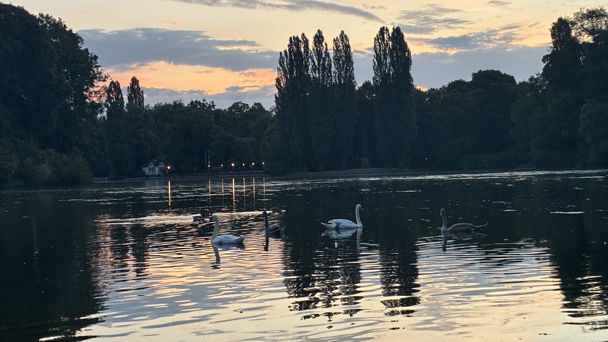 weissblauemacht's tweet photo. Wenn der Himmel den See küsst, braucht es keine Worte.
Manchmal reicht es einfach, im richtigen Augenblick am Ufer zu stehen und hinzuschauen.

⁠#Morgenstimmung⁠ ⁠#Augenblick⁠ ⁠#Innehalten⁠ #kleinhesselohersee #zamilapark https://t.co/JesqbKxISm