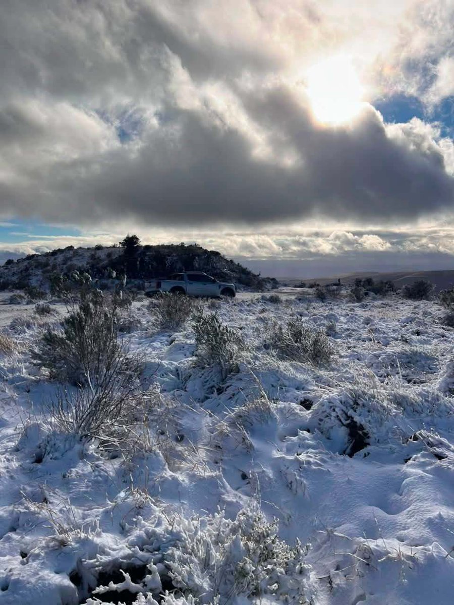 SANParks's tweet photo. Snow in #MountainZebraNationalPark. 
__
📸 Tumelo Gustav Masoba #LiveYourWild #WildBackYard #Snow https://t.co/k6rsQvIZMl