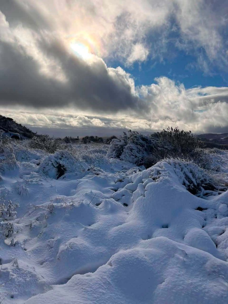SANParks's tweet photo. Snow in #MountainZebraNationalPark. 
__
📸 Tumelo Gustav Masoba #LiveYourWild #WildBackYard #Snow https://t.co/k6rsQvIZMl