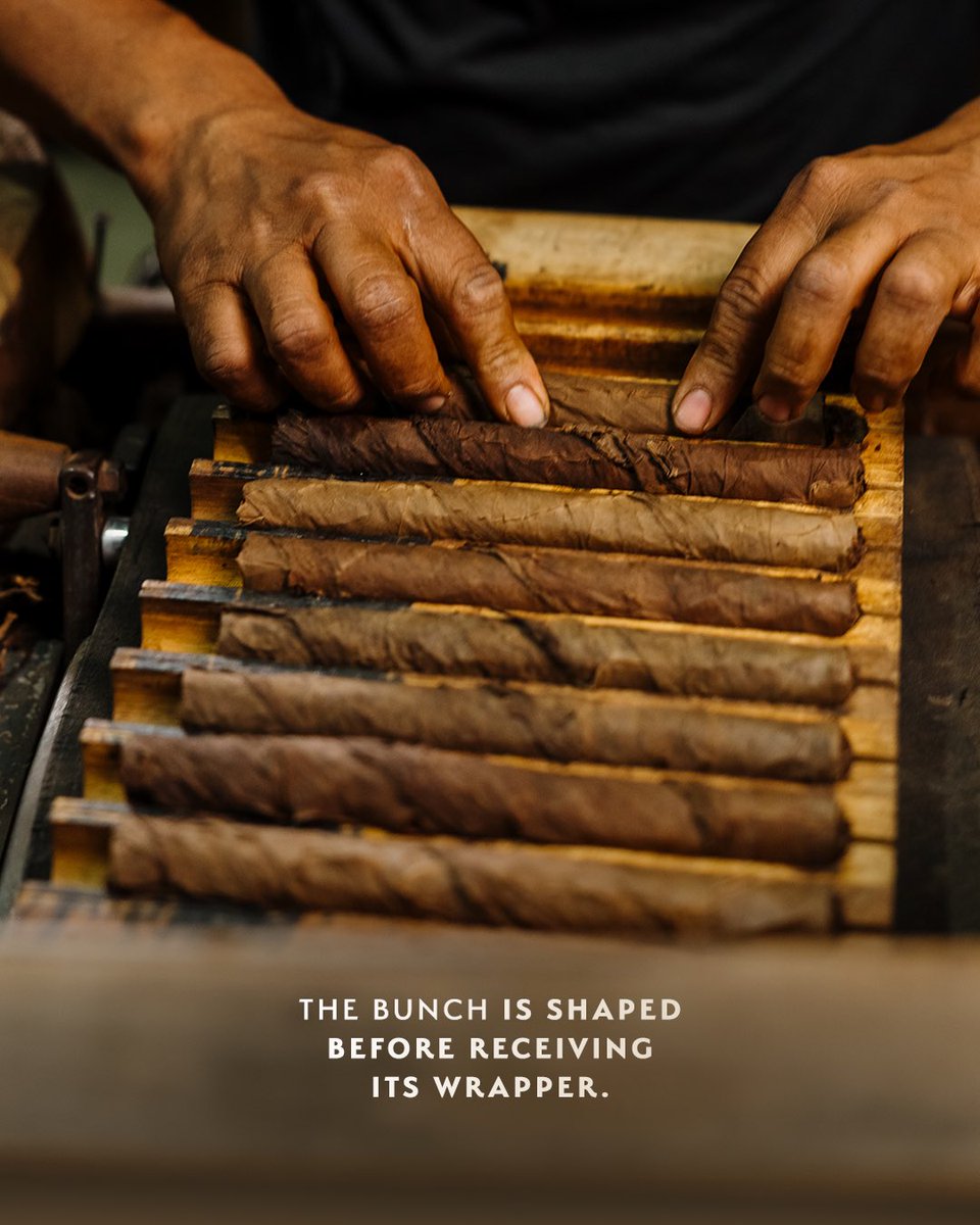 PlasenciaCigars's tweet photo. From the outside in, every leaf matters.
The wrapper brings its own character, while carefully selected filler leaves create layers of depth and complexity. It is the harmony between them that brings a blend to life.
#PlasenciaCigars #Tobacco #CigarCraftsmanship https://t.co/KzGTPe1A6h