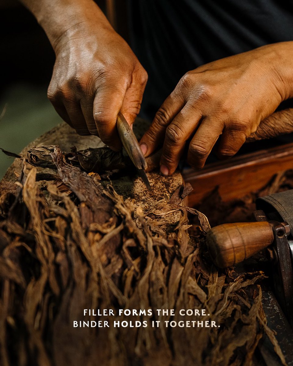PlasenciaCigars's tweet photo. From the outside in, every leaf matters.
The wrapper brings its own character, while carefully selected filler leaves create layers of depth and complexity. It is the harmony between them that brings a blend to life.
#PlasenciaCigars #Tobacco #CigarCraftsmanship https://t.co/KzGTPe1A6h