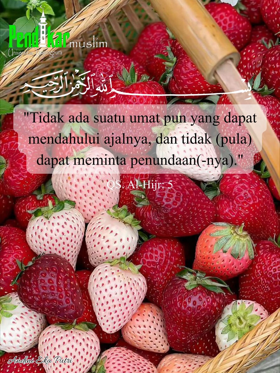 AndiniEkPtr's tweet photo. Bismillahirrahmanirrahim
Assalamu'alaikum warahmatullahi wabarakatuh✨🙏🏻
#Pendikar
#Pancasila
#UNTAN
#PendikarPancasilaUNTAN https://t.co/RILSbj5mXB