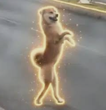 minerepair's tweet photo. $Dichi the dog that is like Michi the cat - crossing the road

43DESMXaeRQy5Q2XbYtqZv2vjHCnAvzmhVwmtkQwpump https://t.co/DIGtj0eZZh