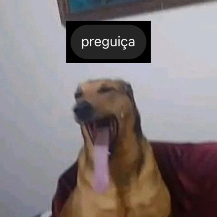 lyullys's tweet photo. to de férias até eu me auto liberar https://t.co/6VM7wMeZEw