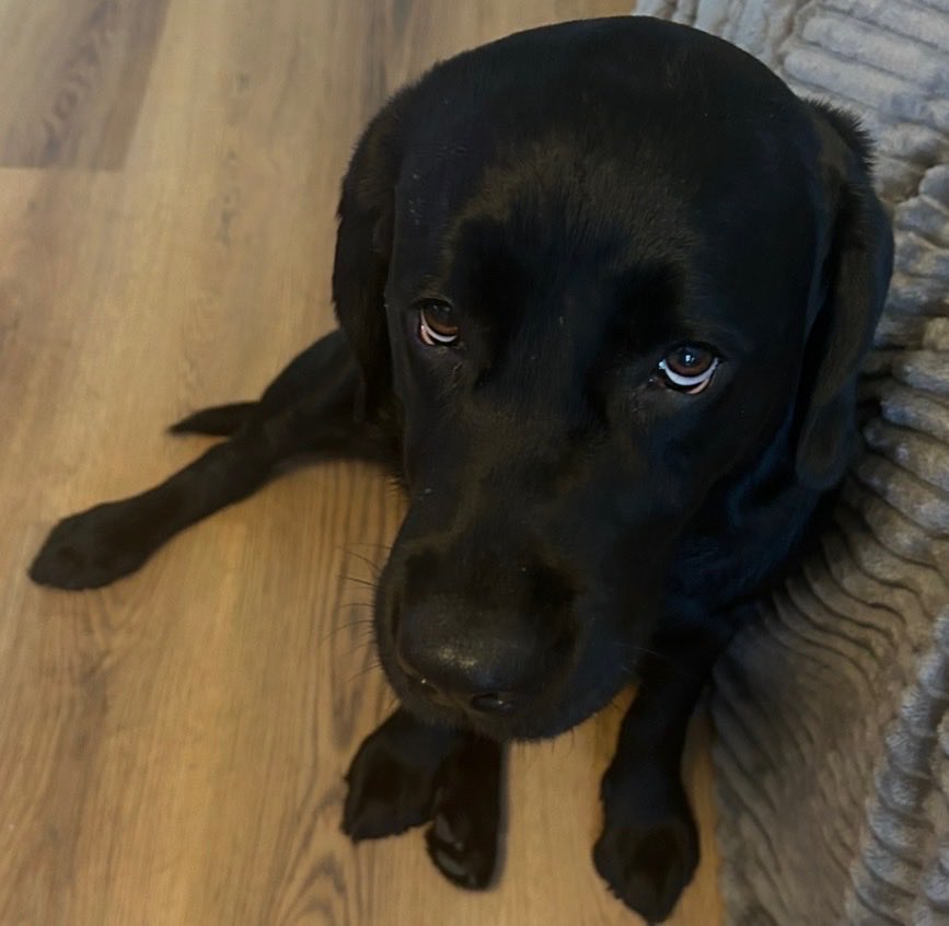 CKaylee221's tweet photo. Everyone, meet Poppy — my lovely angel. Her dad stopped talking to me just because I shared how I feel, and now he wants to take her away from me. https://t.co/Q74TiVhnsB