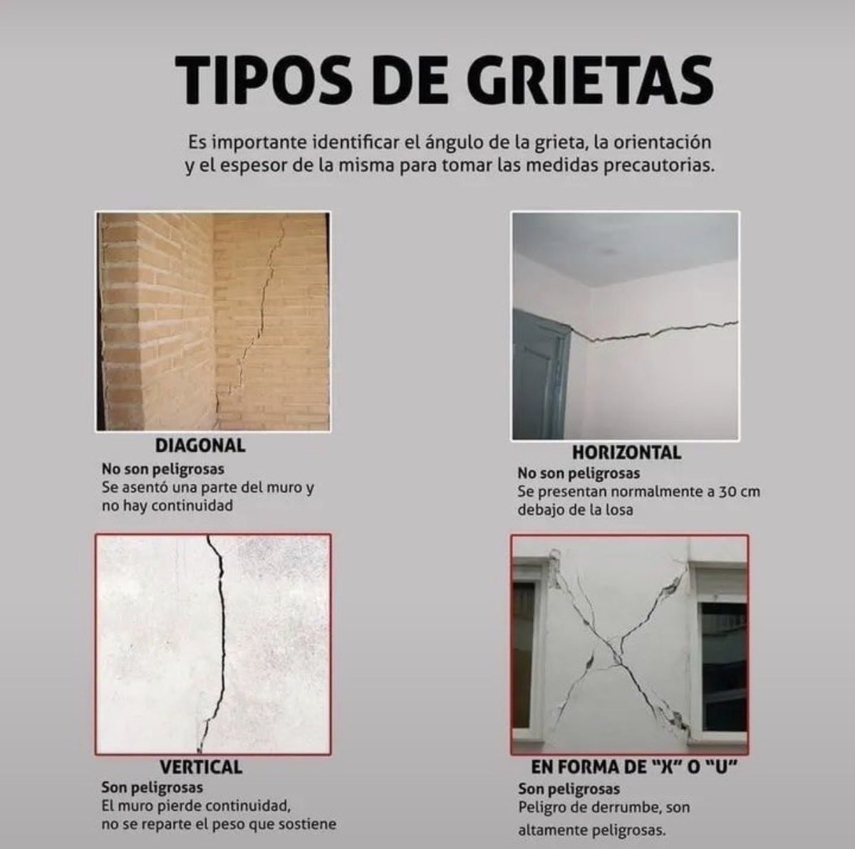 ela_sq's tweet photo. @AdryOcampoM @alfebravel Lo saqué de otro Post pero se ve pegriloso https://t.co/D9gP27TMEw