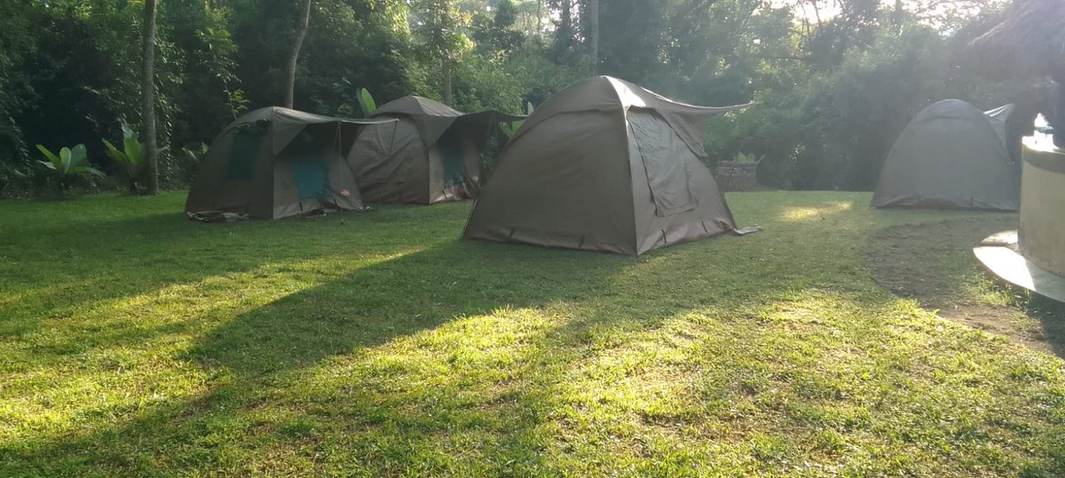 KwsSaiwaSwamp's tweet photo. Looking for the perfect escape to reconnect, recharge and build stronger teams? 

KWS parks offer the ideal setting for wellness and adventure tourism where nature, fun and meaningful experiences come together.

📌Saiwa Swamp National Park. https://t.co/4bx0qJhtOS