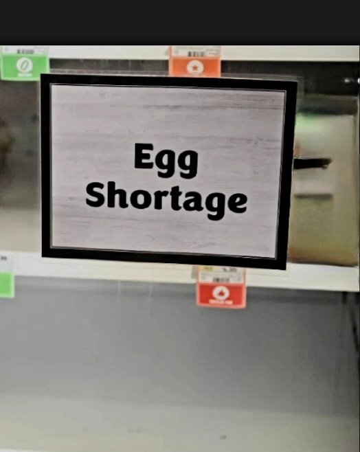 TerryRob696969's tweet photo. @RealHickory She freezes her eggs because she afraid there will be another... https://t.co/I2giSCVnEq