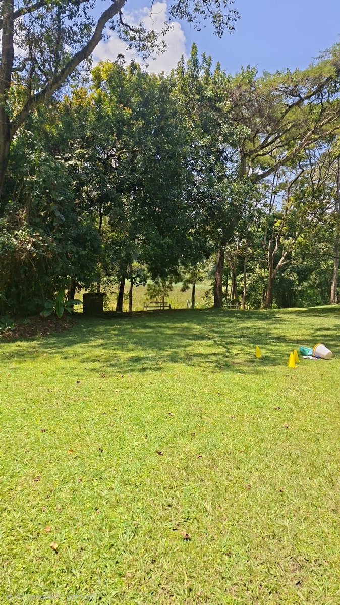 KWSWesternCirct's tweet photo. Looking for the perfect escape to reconnect, recharge and build stronger teams? 

KWS parks offer the ideal setting for wellness and adventure tourism where nature, fun and meaningful experiences come together.

📌Saiwa Swamp National Park. https://t.co/0QuetMlVKv