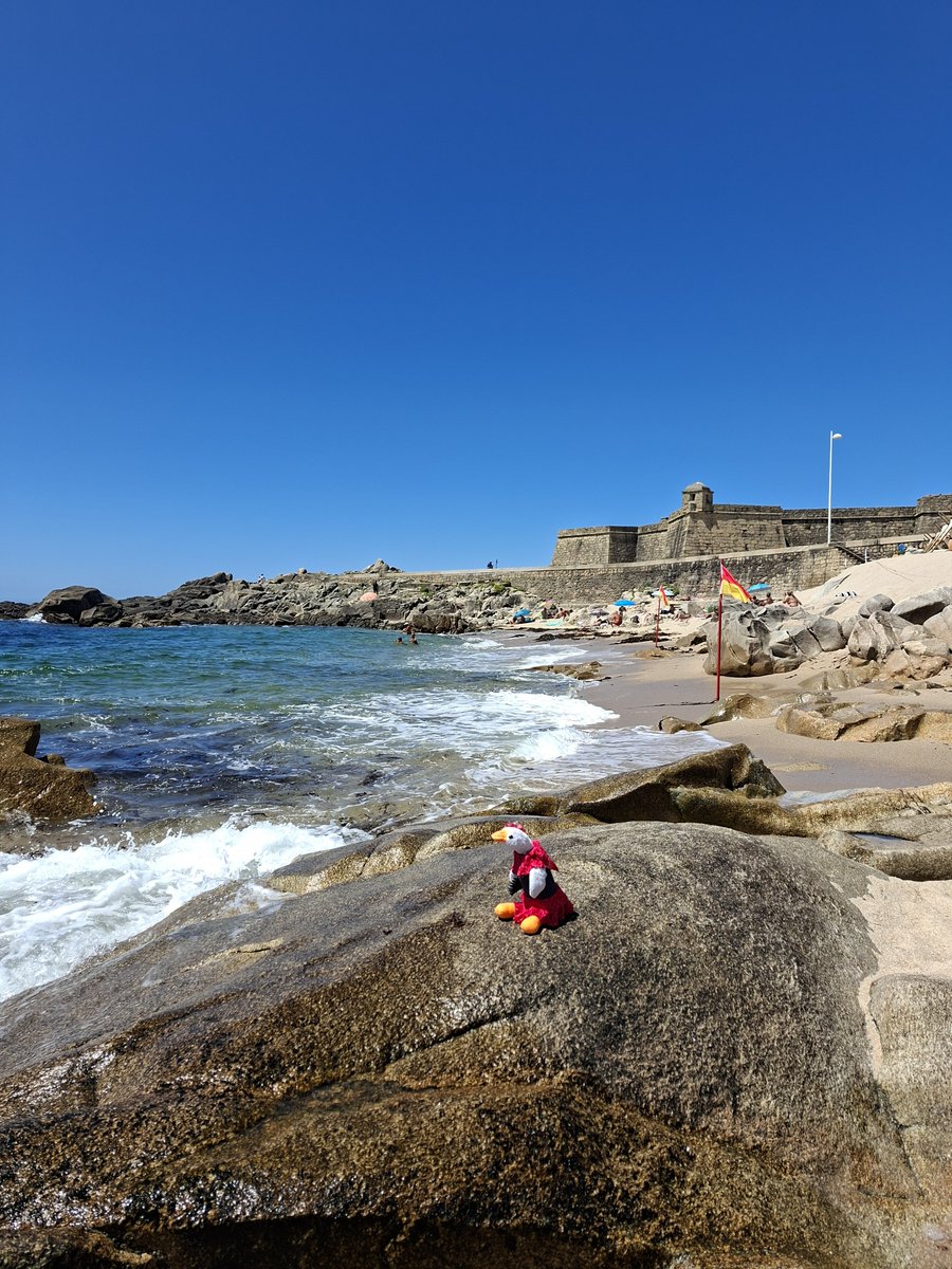 Zoss uzsāka savu  road-tripu un pirmā pietura - pilsētiņa Vila do Conde. Zoss apskatīja iespaidīgu akveduktu, seno klosteri, beidzot dabūja ceptas sardīnes pusdienās un izpeldējās okeānā. Ūdens ļoti atvēsinošs, teiksim tā. https://t.co/8xcZLYLOw3