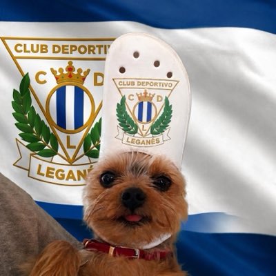 Nanoo21_'s tweet photo. A una semana de que empiece la hipertensiones abandonamos la época mundial para abrazar la época en la que me quiero morir cada domingo.

#NuevaFotoDePerfil https://t.co/5z4WvtNQ1X