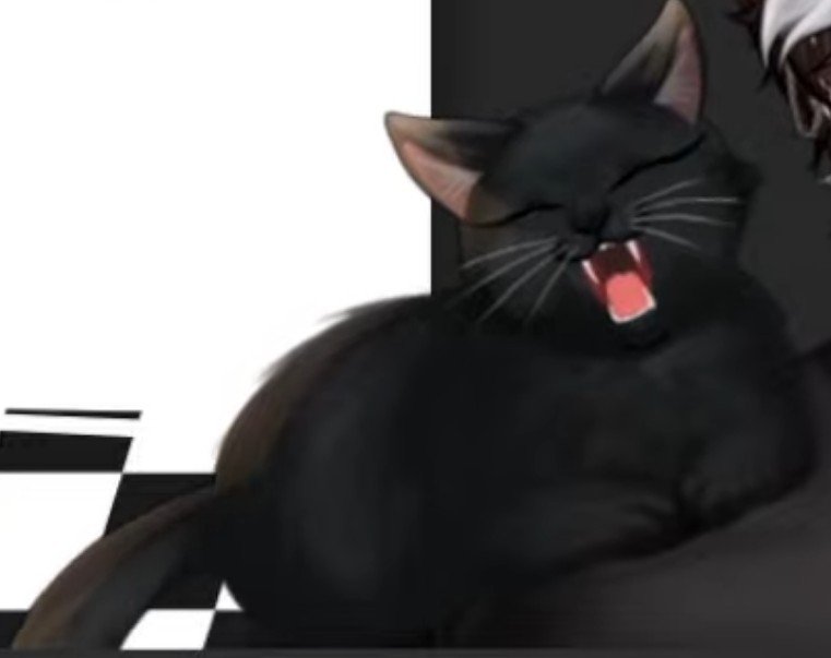 sunxbeam tweet picture