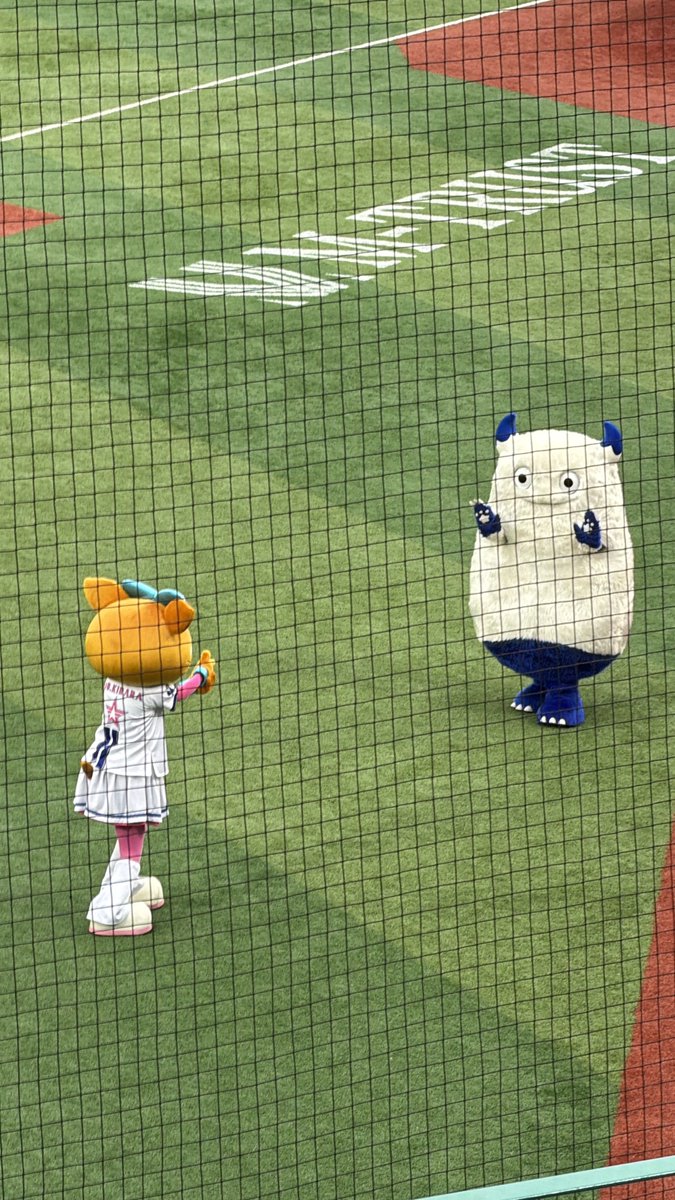 mm_jam0506's tweet photo. #バートの日 https://t.co/YZ9NVpv4U8