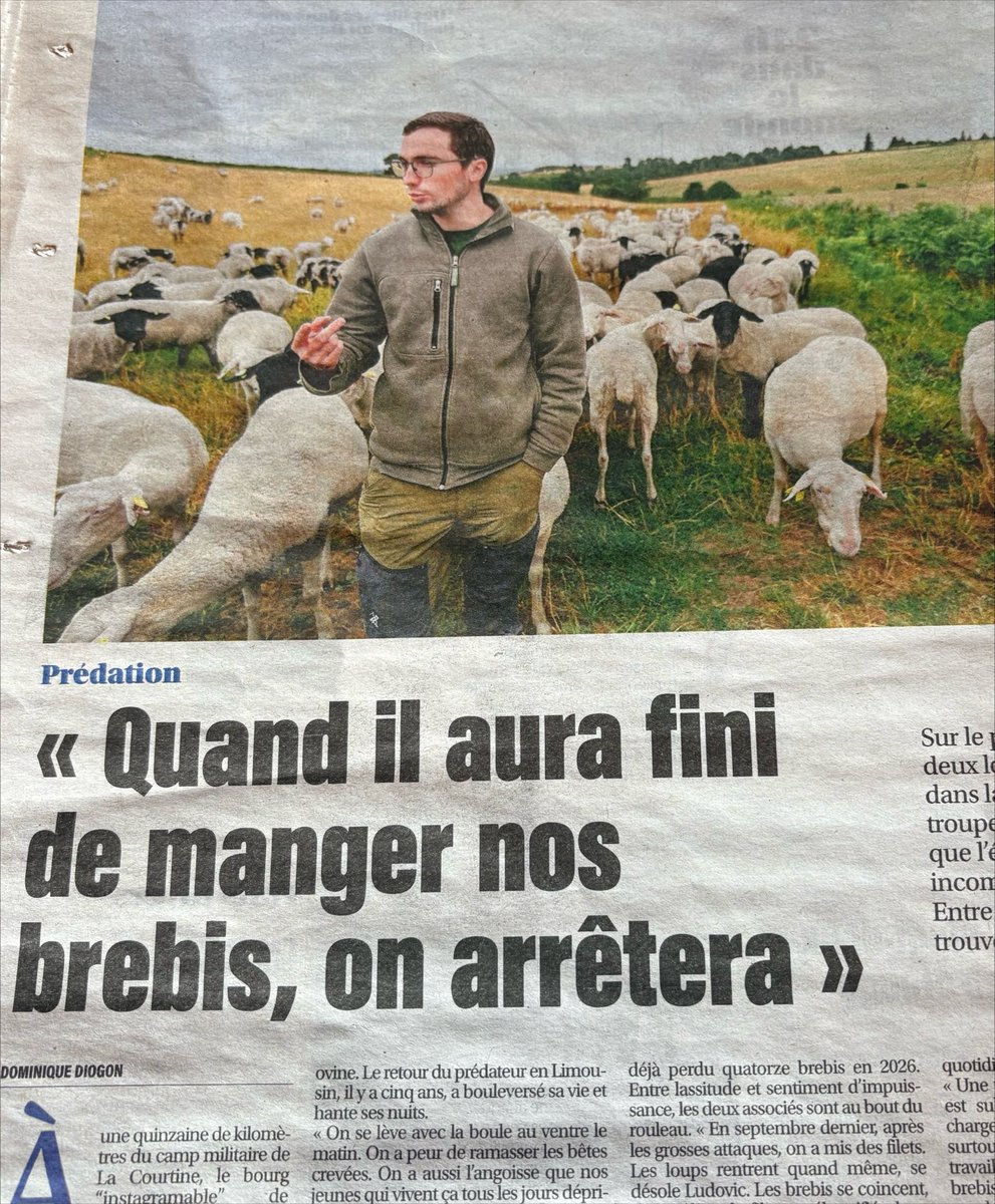 AlliotBertrand's tweet photo. À propos du #loup, dans le journal La Montagne.
C’est bien résumé ce titre d’article. https://t.co/VGRZXgUjZh