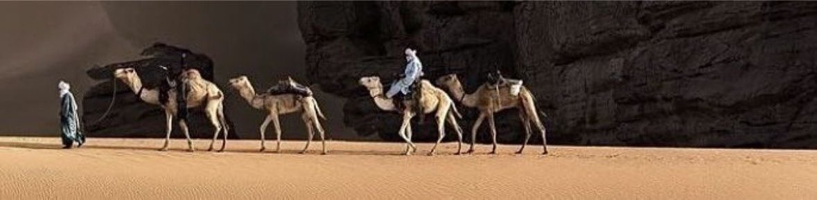 oiil__5's tweet photo. لعنبو ليل سهرته مالقيت النوم فيه
والسهر يأثر على اللي ذكرياتّه موجعه. https://t.co/9B3f8cxhuH