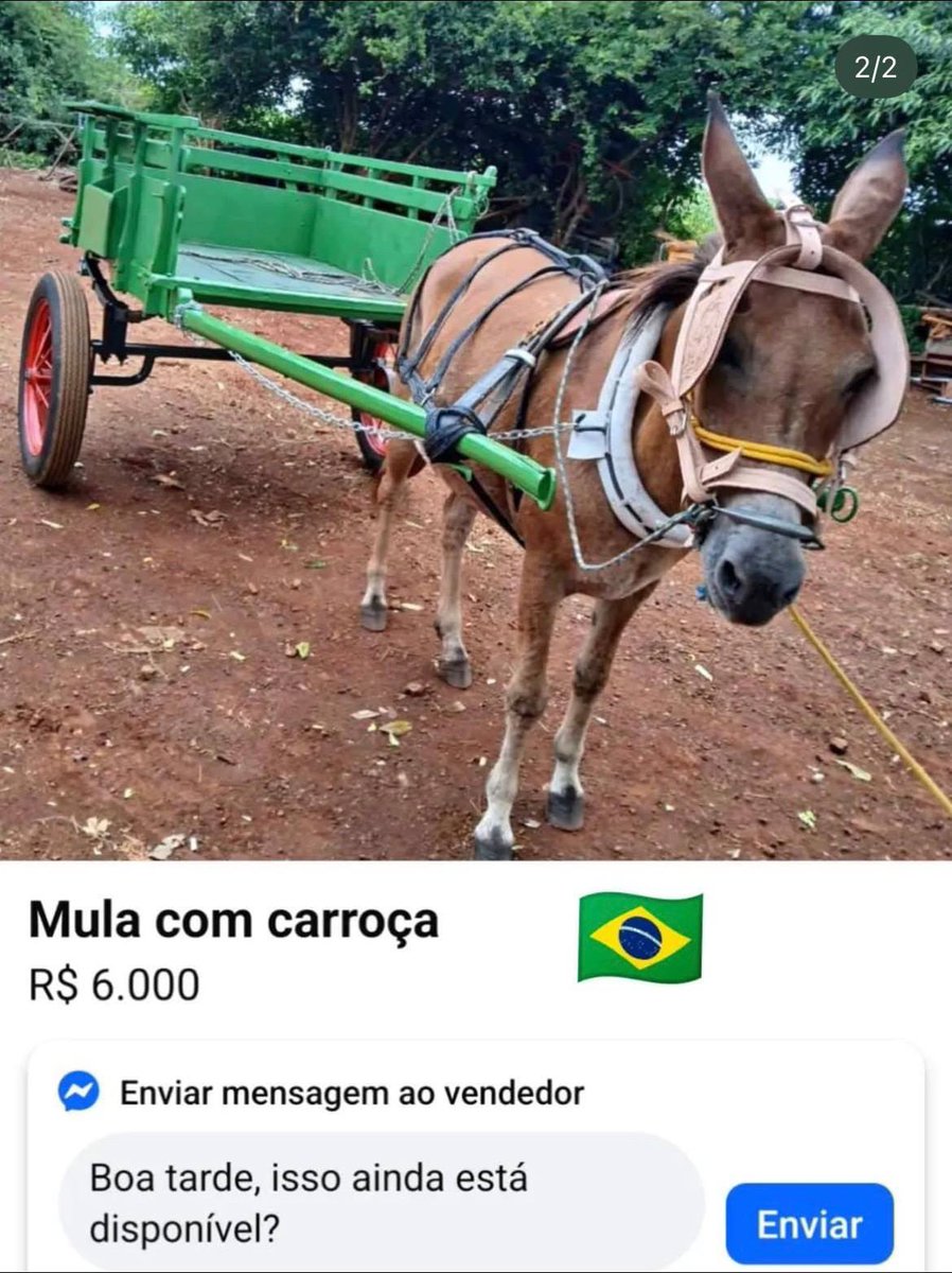 GDOMEMES30's tweet photo. Tá, mas no EUA tem SUS? Urnas eletrônicas? Soberania? https://t.co/GrtplI6kQJ