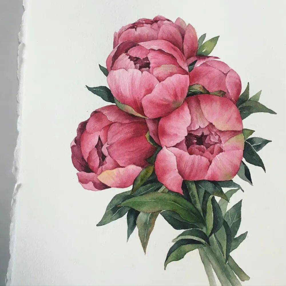 NateRuth4's tweet photo. [Lost in the soft strokes of this watercolor lotus—each bloom holds a story of quiet beauty. Spend 10 minutes today connecting with small artistic moments ]， https://t.co/VOuZkrJduZ