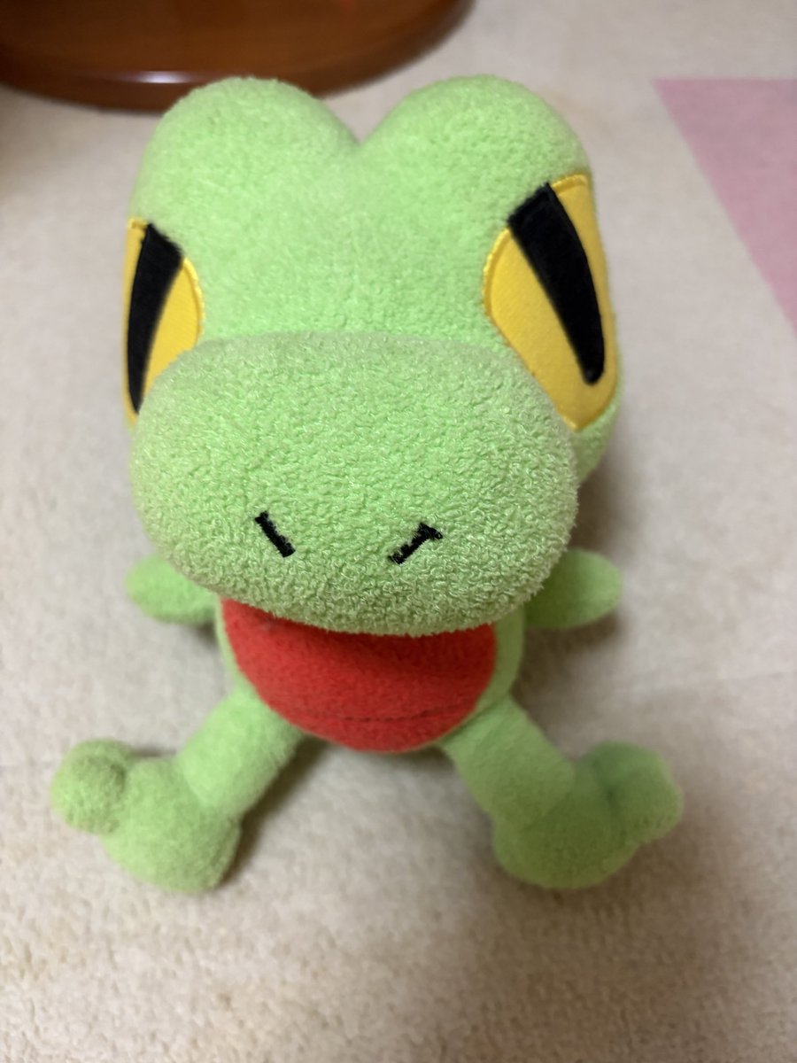 kb__143's tweet photo. 実家の片付けしてたら2004年物のキモリ出てきてやばい(•ᴗ•; )(笑) https://t.co/ankPBY95SA