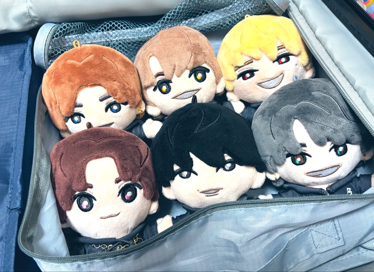 ai_st68821's tweet photo. 明日から実家へ帰省のため荷造り中
さすがに6人全員は連れてけないなーと思いながらも、あまりにもぴったりはまってしまい悩む😂笑 https://t.co/hVwy2D00AI