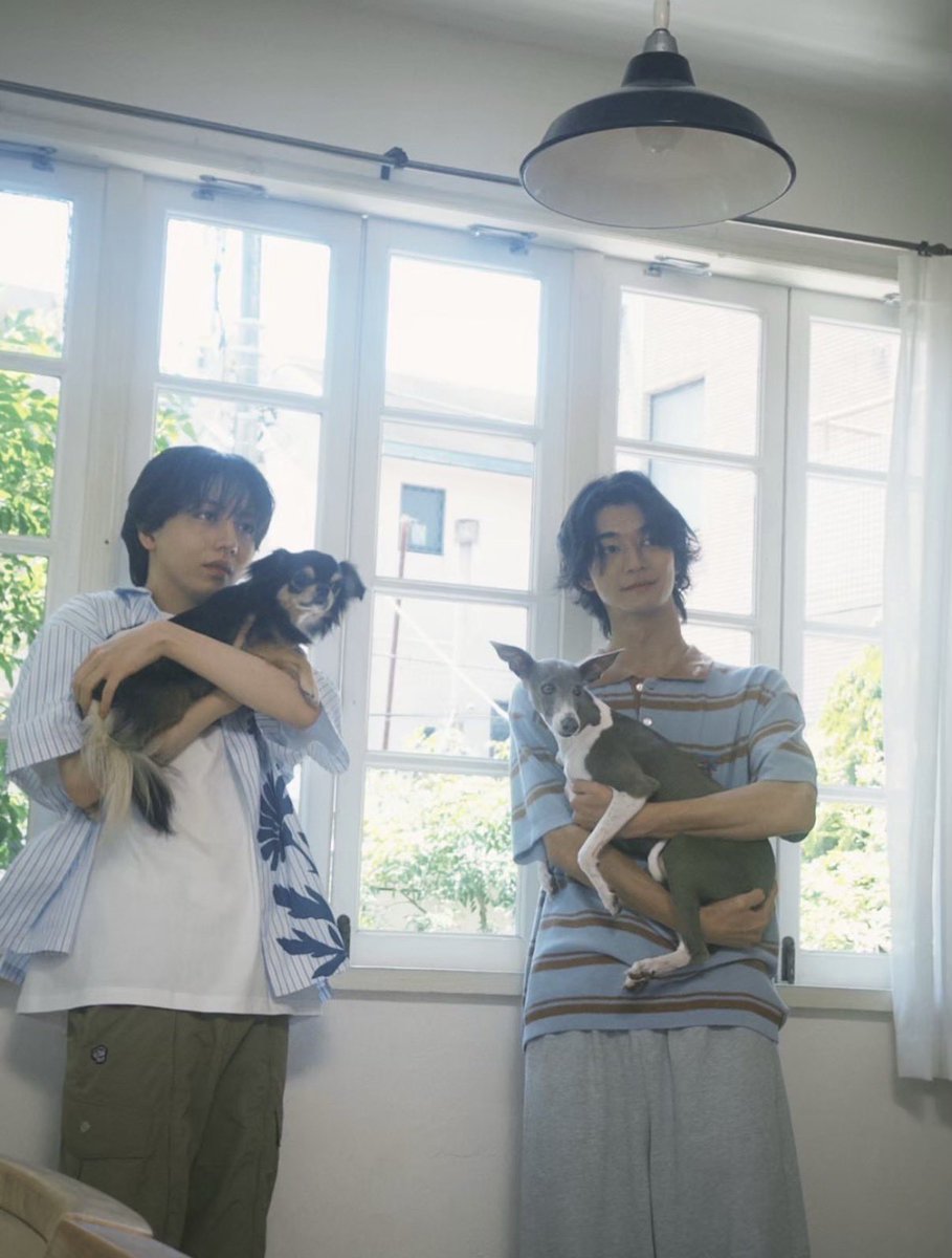 c7aha16's tweet photo. 要人がイタグレ飼ってるのも、凌大がチワワ飼ってるのも解釈一致で辛いし
飼い主に似るんだなと https://t.co/pDt3bfGoHT