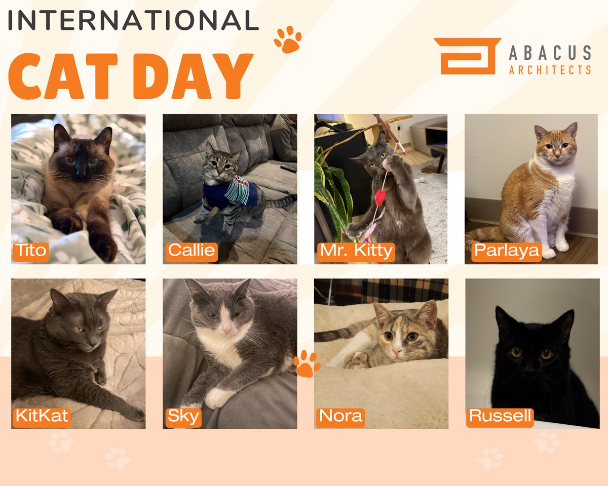 AbacusMke's tweet photo. This past weekend was International Cat Day! 🐾🐈

To celebrate, we’re introducing some of the feline friends behind the team at Abacus Architects.

Here’s to our smallest (and possibly most demanding) team members! 🐱❤️

#AbacusArchitects #relationalarchitecture https://t.co/sJJS8Z3rkM