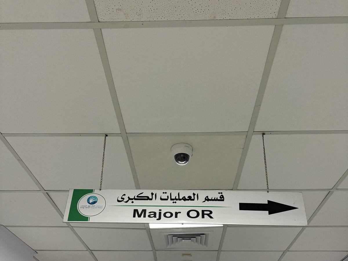 f_clue's tweet photo. I think we just found our place https://t.co/OvZrdrcRC1