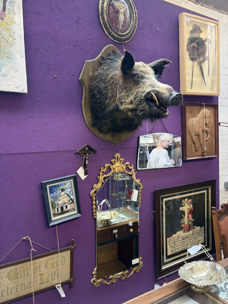 Daveconway123's tweet photo. To celebrate #NTMOβs birthday, we have come to @BygoneTimesUK1 the home of curiosities https://t.co/vF9rEmingc