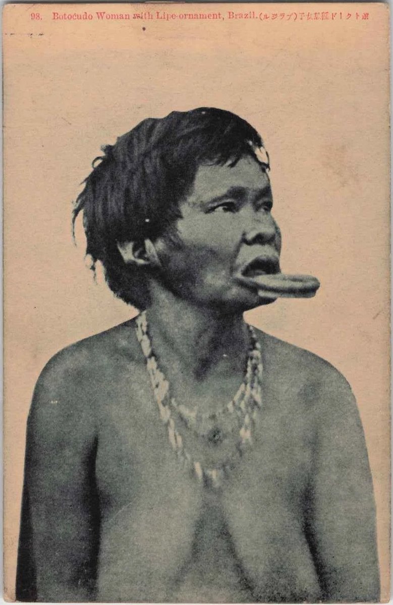 guiratinga's tweet photo. 98. Botocudo Woman with Lipe-ornament, Brazil.
https://t.co/P86Mvl5YPv https://t.co/g0XfdeIDrA