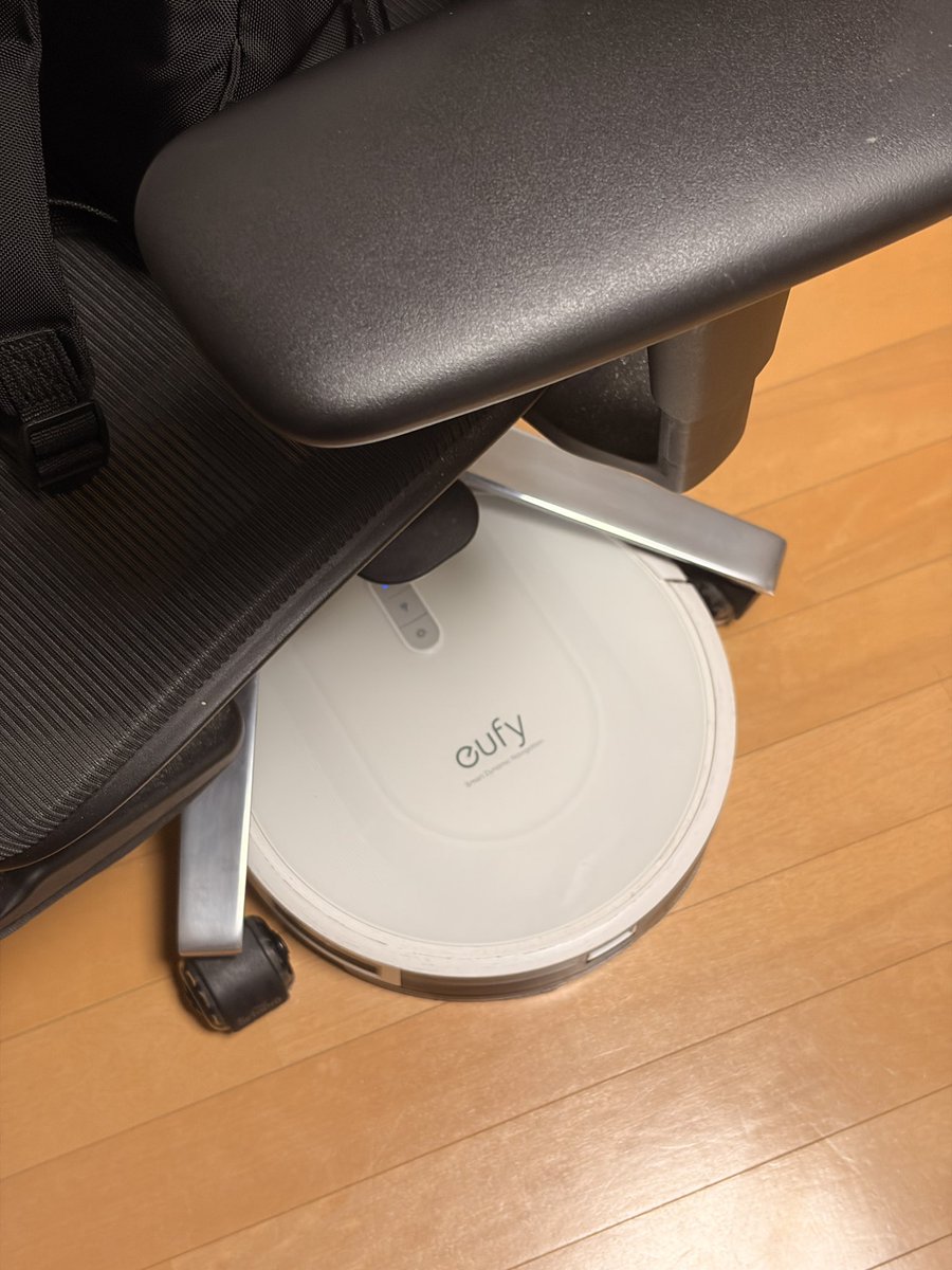 mash6240's tweet photo. この子いっつもこんな感じでお家に帰れなくなってる
かわいいは通り越してストレスである https://t.co/kX9qTI5qtG