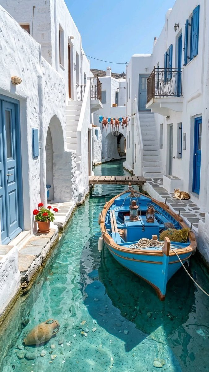 belladissima1's tweet photo. Beautiful day 🩵💙 https://t.co/WFKfTPJjzl