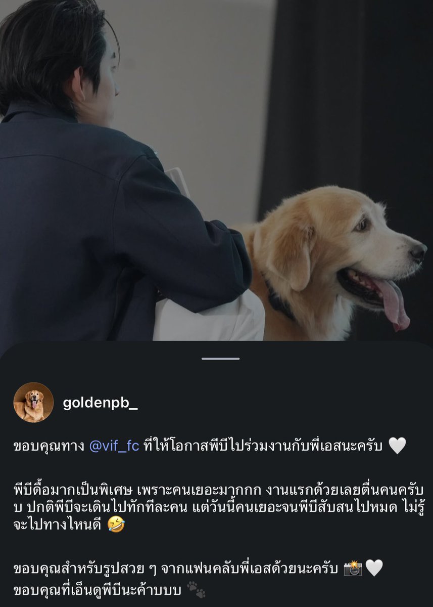 fettifae's tweet photo. 🐶: พีบีดื้อมากเป็นพิเศษ เพราะคนเยอะมากกก งานแรกด้วยเลยตื่นคนครับบ ปกติพีบีจะเดินไปทักทีละคน แต่วันนี้คนเยอะจนพีบีสับสนไปหมด ไม่รู้จะไปทางไหนดี 🤣

น่าร้ากกก จอมซนของเจ้เอิร์นน้องเอส มาออกงานพร้อมน้องเอสอีกเยอะ ๆ เลยนะคับพีบี 🫳🏻🦮

#est_rvp https://t.co/bTLrzDAzWB