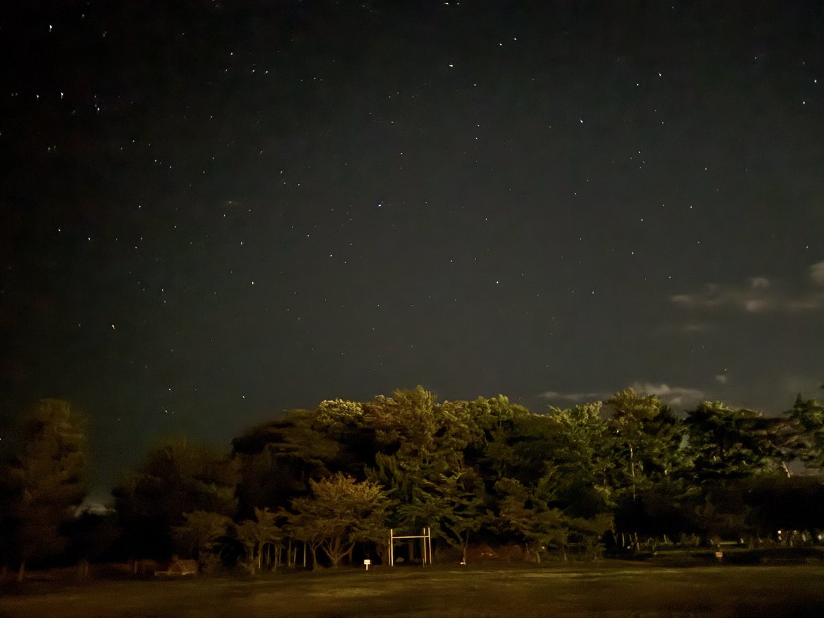 eco_ji's tweet photo. 能登の星空綺麗過ぎたので
ご査収ください。

和倉温泉ホテル横の公園から撮っただけ
これが満天の星空！！ https://t.co/UowW2G9Wtd