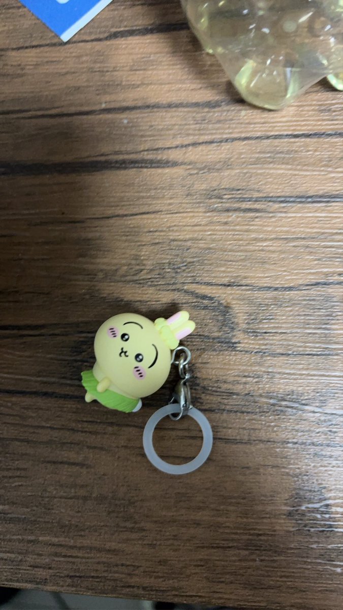 nouminridd's tweet photo. ちいかわの映画二回目みに行って
押しキャラ手に入れたのに
つけて１日で消えていった
ありえん！！！！！ https://t.co/fuEB9mWFQy