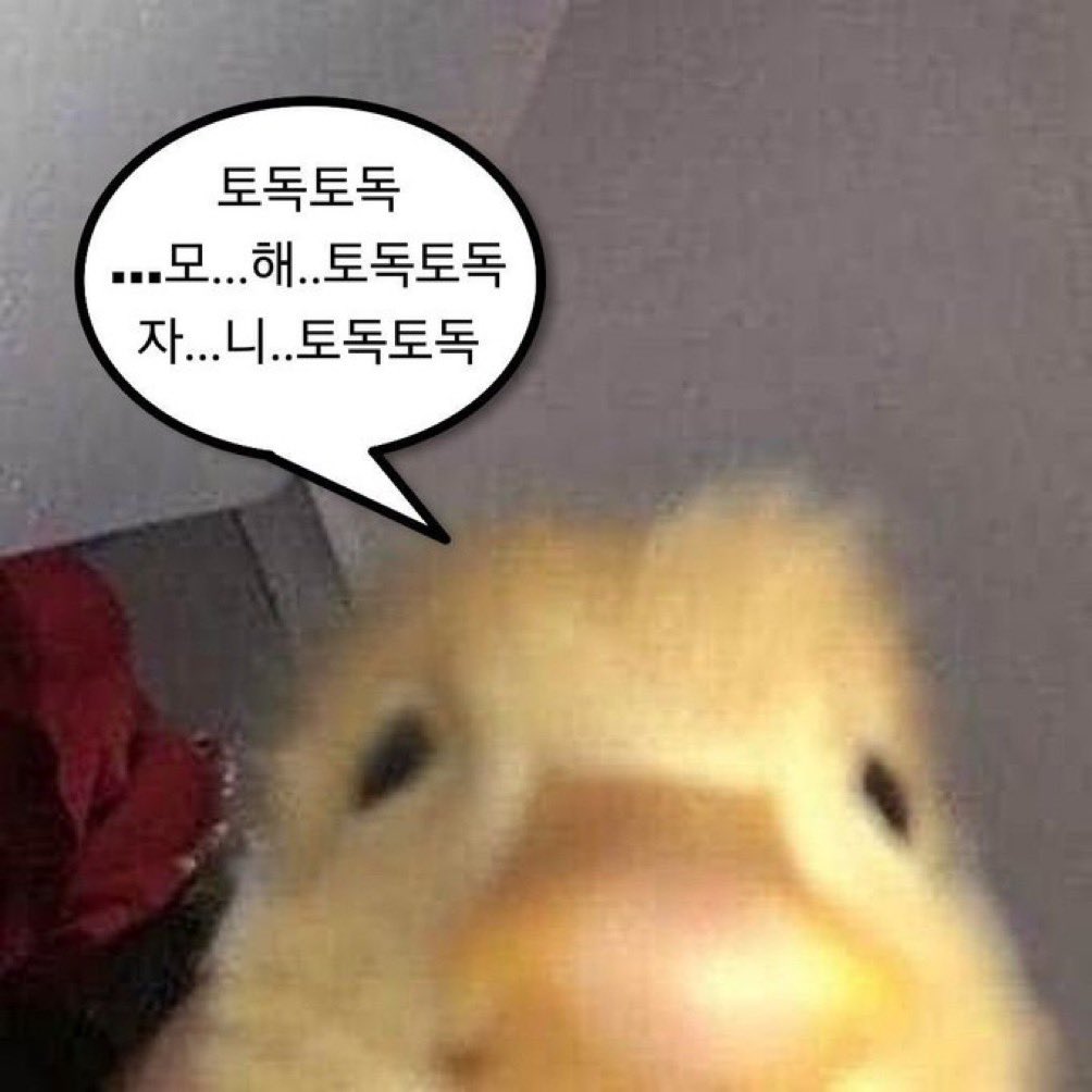 M1GND's tweet photo. 궁금한거 없어두 해주세요
https://t.co/QhiuIYiwpO https://t.co/M2CGWqqU1z
