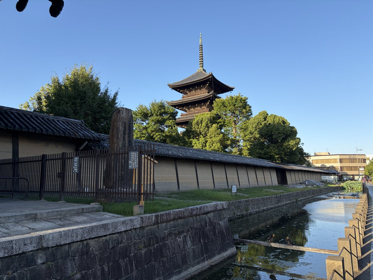 Chiring_memo's tweet photo. 仲良く並んでる鴨の横に自分も鴨ですけど？という顔しながら並んで写真撮ってる https://t.co/IwoliFtgE0
