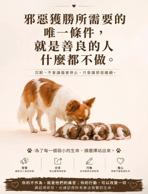 Ji98635971Jim's tweet photo. Many people in China love animals but there is a huge number of ppl who abuse animals for pleasure & profit. When will you write about that?#justiceforwangwang #wangwang #旺旺 #wantwant #Jieyang #BoycottJieyang #Guangdong #boycottguangdong #pingpu #chinatourism #beijing #china https://t.co/F71kgFHORa