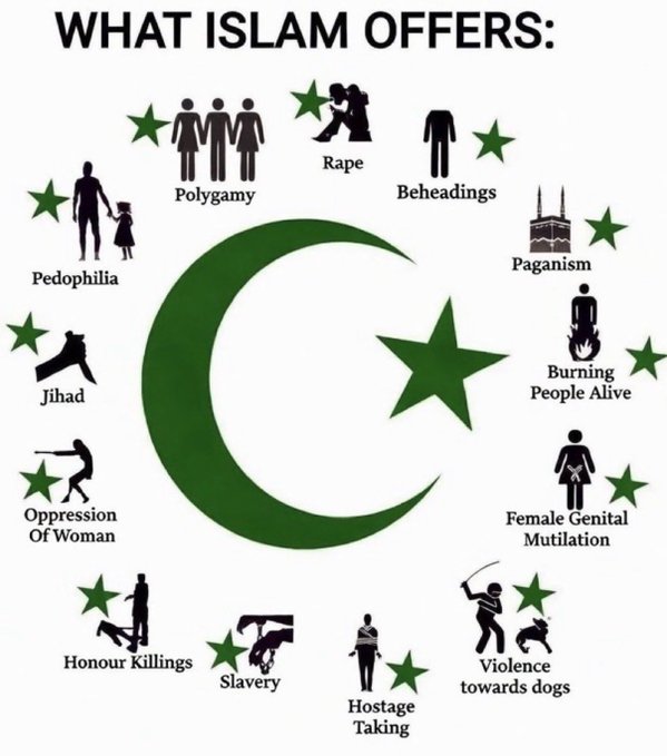 LightBringer411's tweet photo. Sometimes you just have to take a step back, get past all the censorship and psyops, and take a hard long look at what's REALLY going on.

Like someone using a religion as another way for team satan to screw up the planet.

Notice that I said "religion", and not just "Islam".  MANY institutions have leaders pretending to be pure as fresh snow, that also have records of going to Epstein island multiple times.