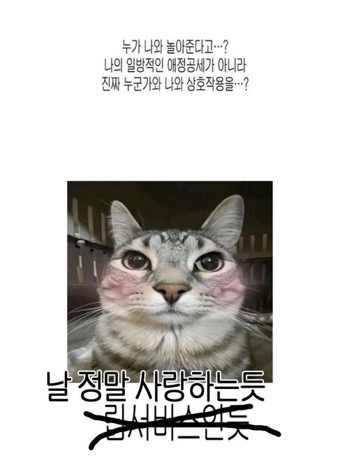 mymemeboxx's tweet photo. 이게 마즘 https://t.co/MJwHufnDxU