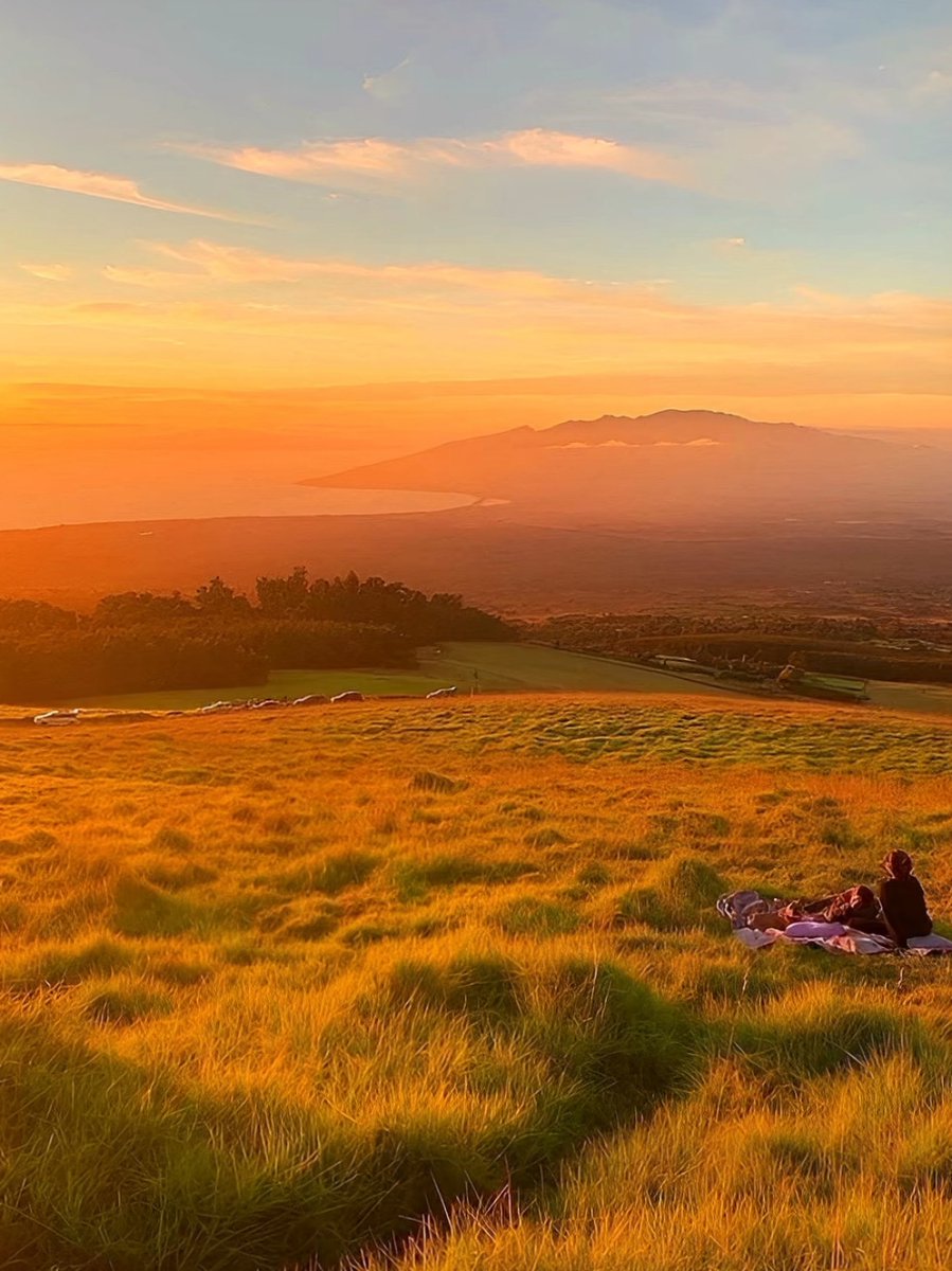 gemkellogg's tweet photo. New to photography Try shooting golden hour—warm light, soft vibes, and it’s hard to take a bad pic! Start with your phone, no fancy gear needed. https://t.co/cQHgltWu7k
