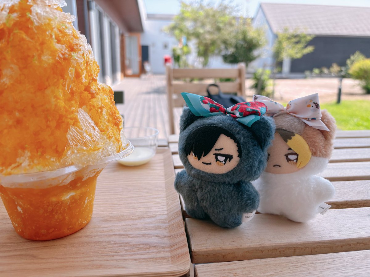 tomatomato_too's tweet photo. かき氷を狙うちみ https://t.co/Mpf7U2FUQ3
