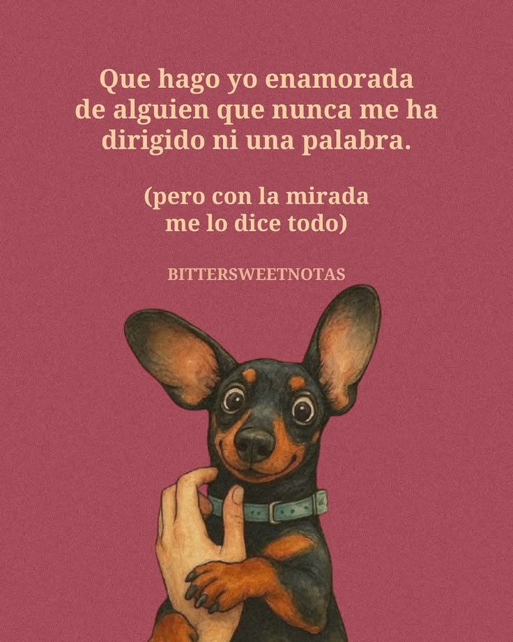 rey_latino33087's tweet photo. https://t.co/5TfE82itZh
