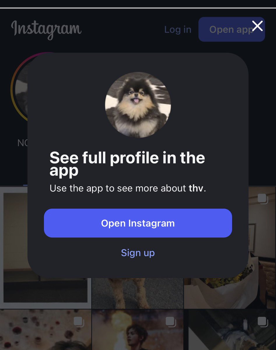 saxophonist95's tweet photo. the follow button on champion’s global website leads to taehyung’s instagram. ugh this is everything https://t.co/3jFbHvXhmV