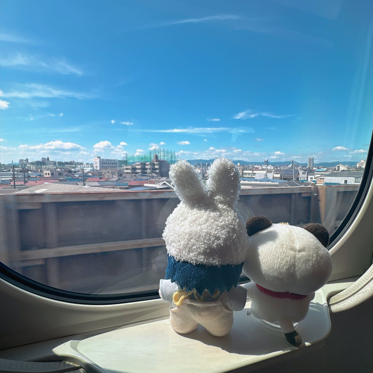 MchocolatFB's tweet photo. 夏だね https://t.co/bi5I9IbUul