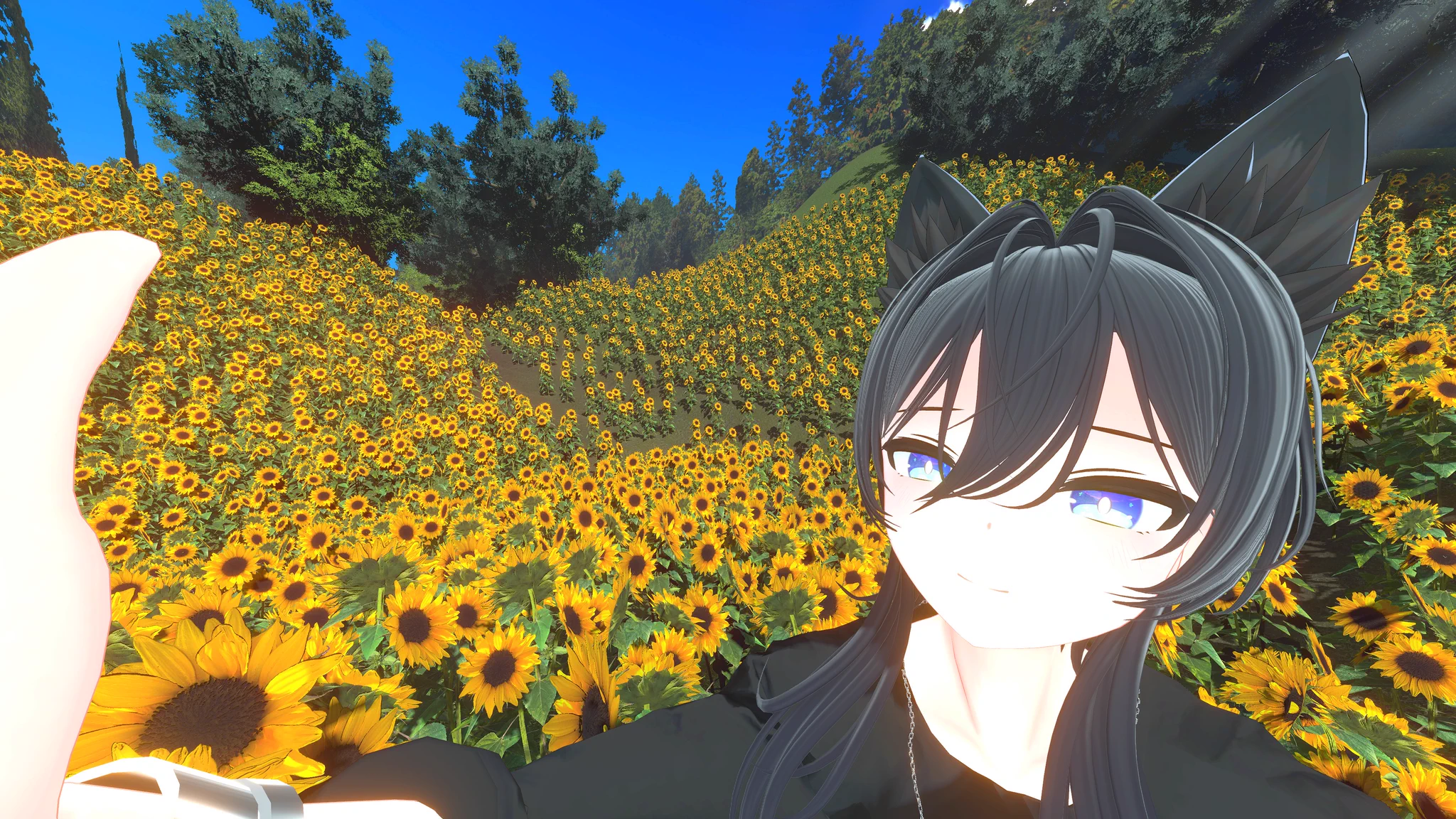 しゃん🐺💙 on X: 