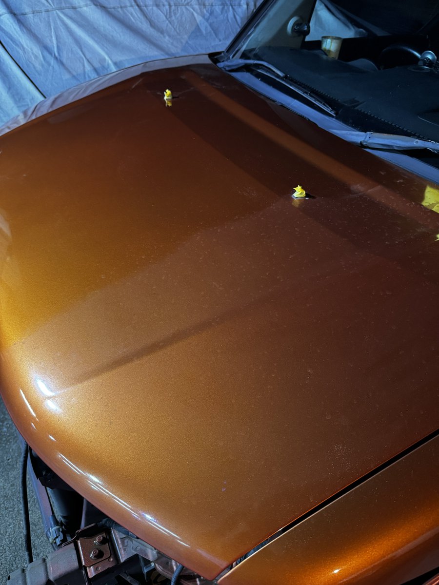XPOINTimport_JP's tweet photo. USDMな事の準備してみたり…
と思ったけど磨いてみたり…
エレメント いい車です😊
#ELEMENT #エレメント #yh2 #usdm https://t.co/hfnxO4QqeV